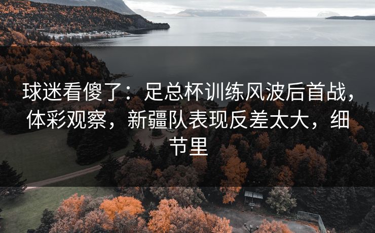 球迷看傻了:足总杯训练风波后首战,体彩观察,新疆队表现反差太大,细节里 球迷看傻了:足总杯训练风波后首战,体彩观察,新疆队表现反差太大,细节里