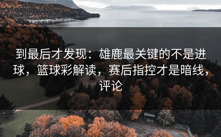 到最后才发现：雄鹿最关键的不是进球，篮球彩解读，赛后指控才是暗线，评论  第1张